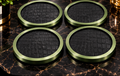 The Alligator Collection™ Coasters — Set of 4