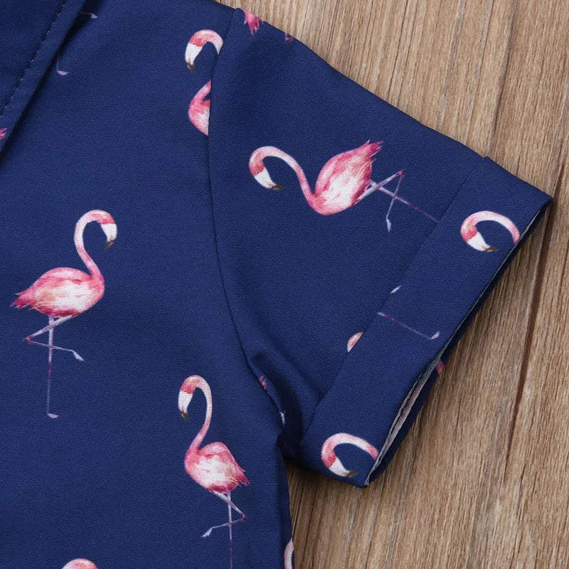 Lioraitiin 1-6Years Toddler Baby Boy Gentleman Flamingo Short Sleeve Shirt+Shorts Solid Pants Wedding Party Summer Set