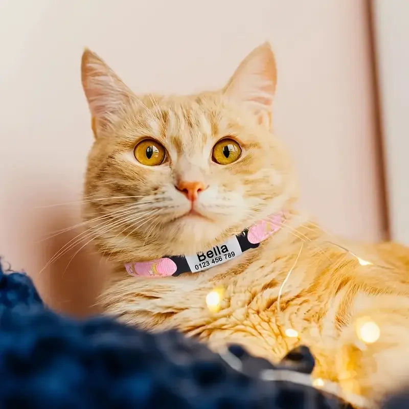 Personalized Custom Engraved Pet Name and Phone Number Cat ID Tag Moon and Star Print cat Collar with Bow Suitable for pet Cats