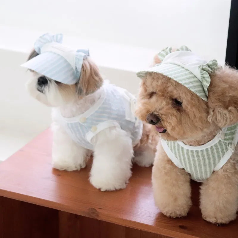 Dog Clothes with Hat Pet Vest Set Striped Dog T Shirt Cute Kitten Puppy Costume Chihuahua Bichon Girls Cooling Clothing Buckle