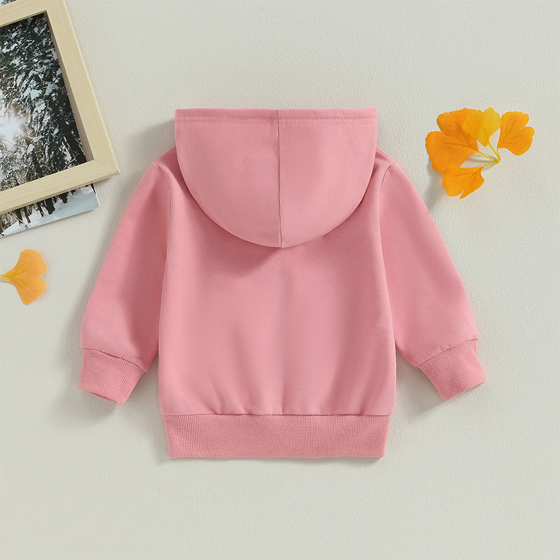 2023-06-22 Lioraitiin 0-5Years Toddler Boys Girls Hoodies Jacket Solid Zip Up Hooded Long Sleeve Kids Coat Fall Winter Outerwear