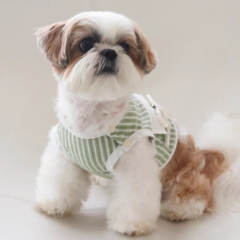 Dog Clothes with Hat Pet Vest Set Striped Dog T Shirt Cute Kitten Puppy Costume Chihuahua Bichon Girls Cooling Clothing Buckle